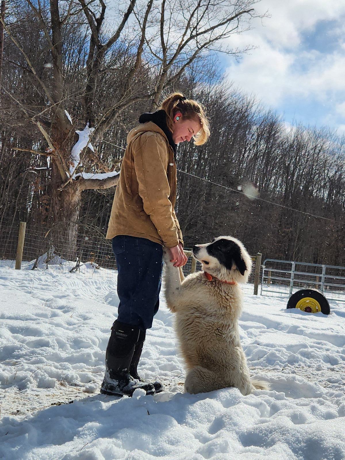 Eleanor saying good morning to Pepper on a snowy day