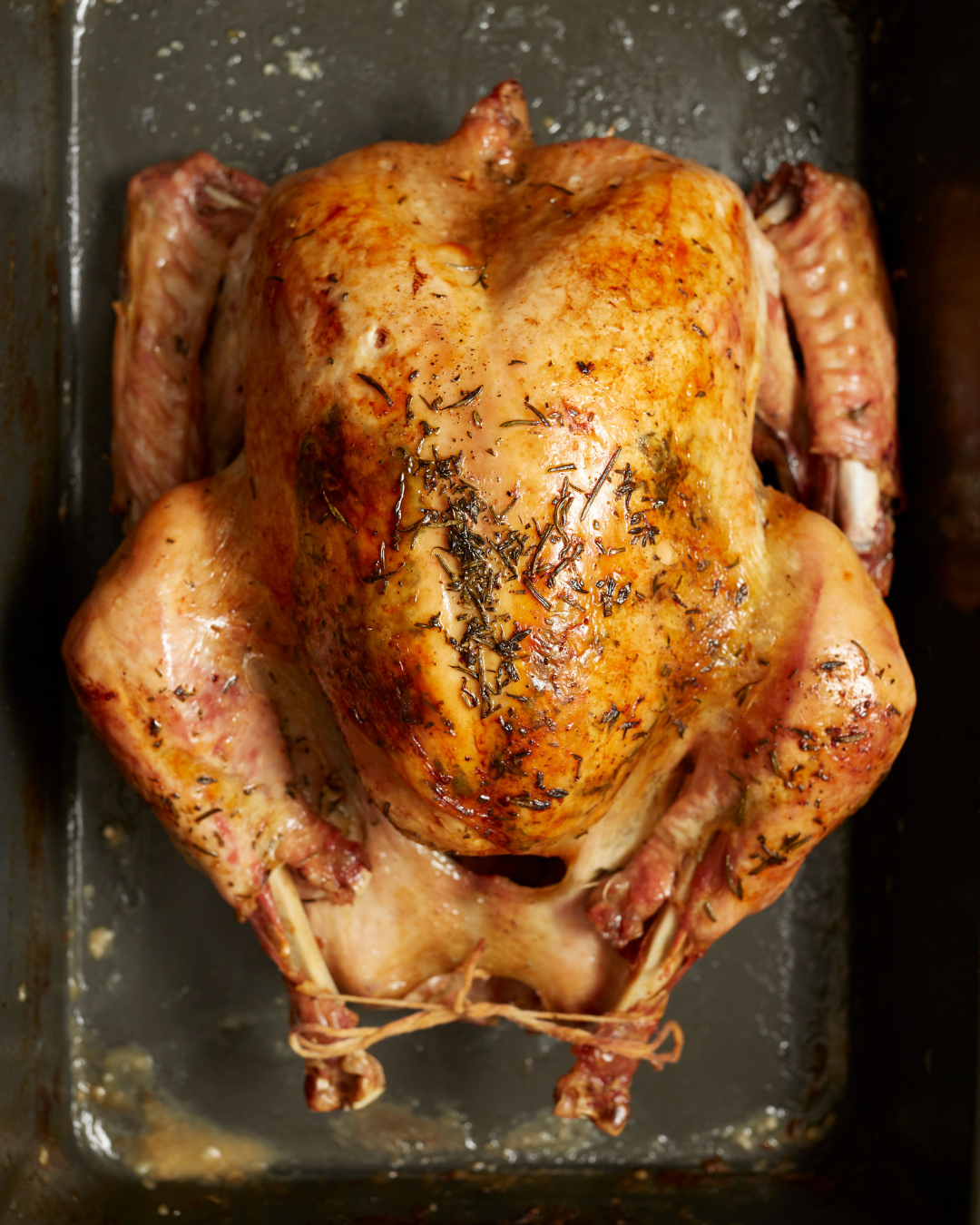 Pasture-Raised Turkeys